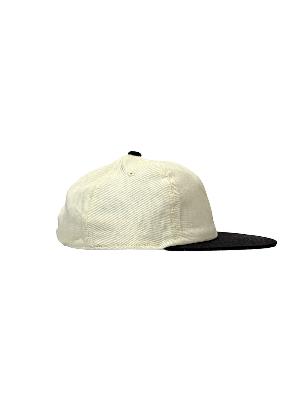 TINY BIII TWO-TONE CAP